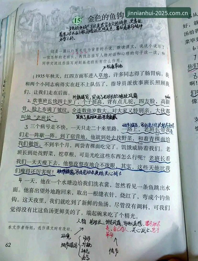 金年会体育老用户实战笔记：XG5中国官网深耕节点CN 2025与7XG5 APP实用指南